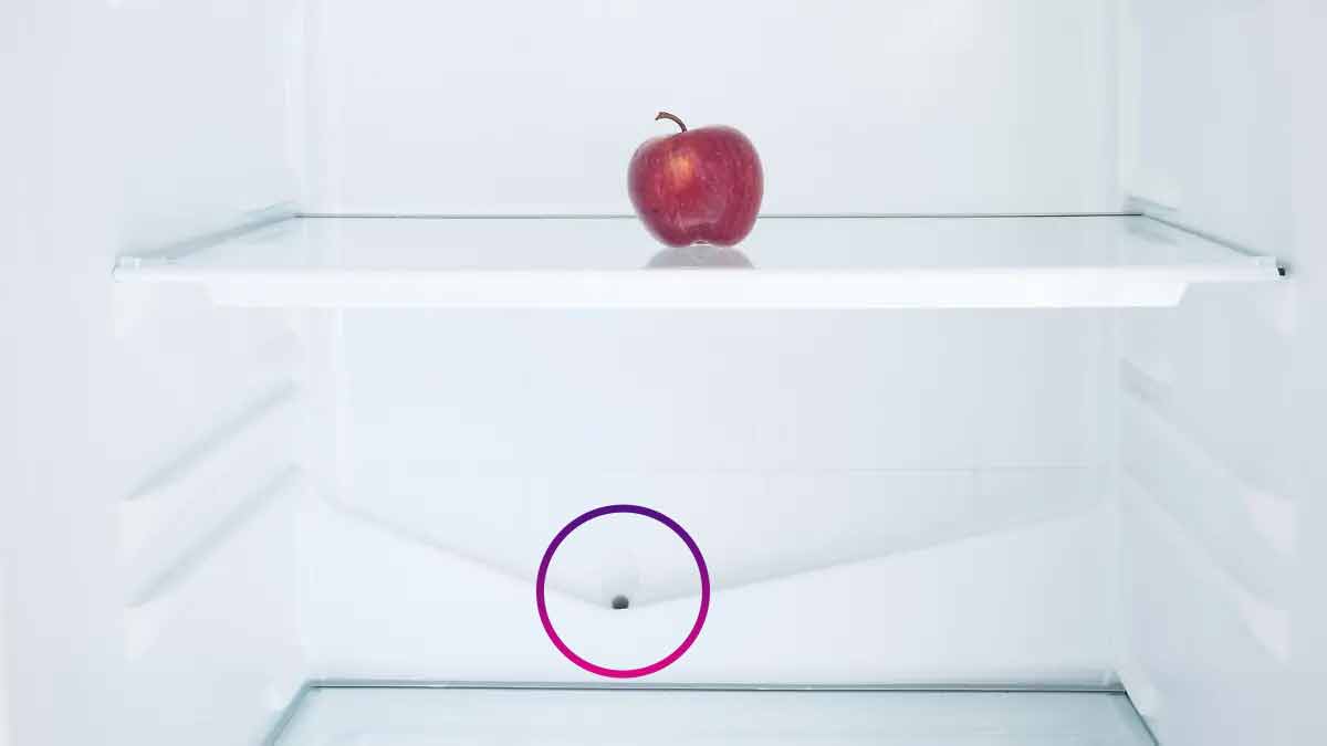 Der Geheimnisvolle Grund für das kleine Loch im Kühlschrank