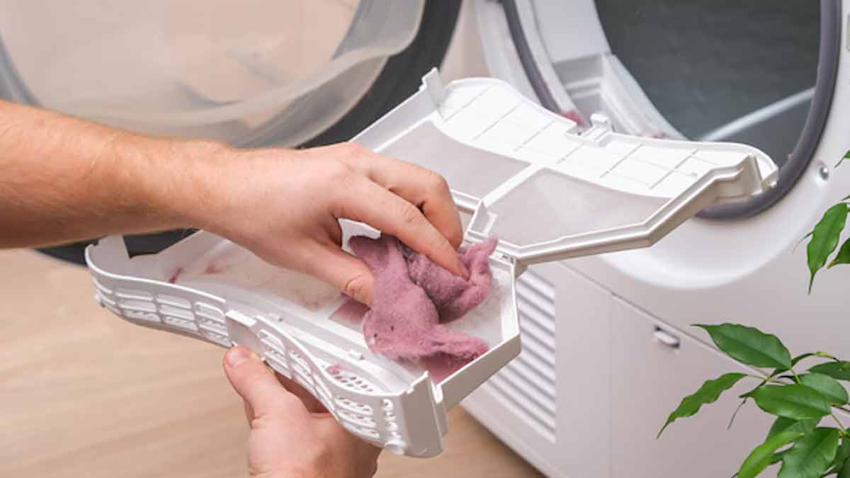 Fussel aus dem Trockner bloß nicht in die Tonne werfen