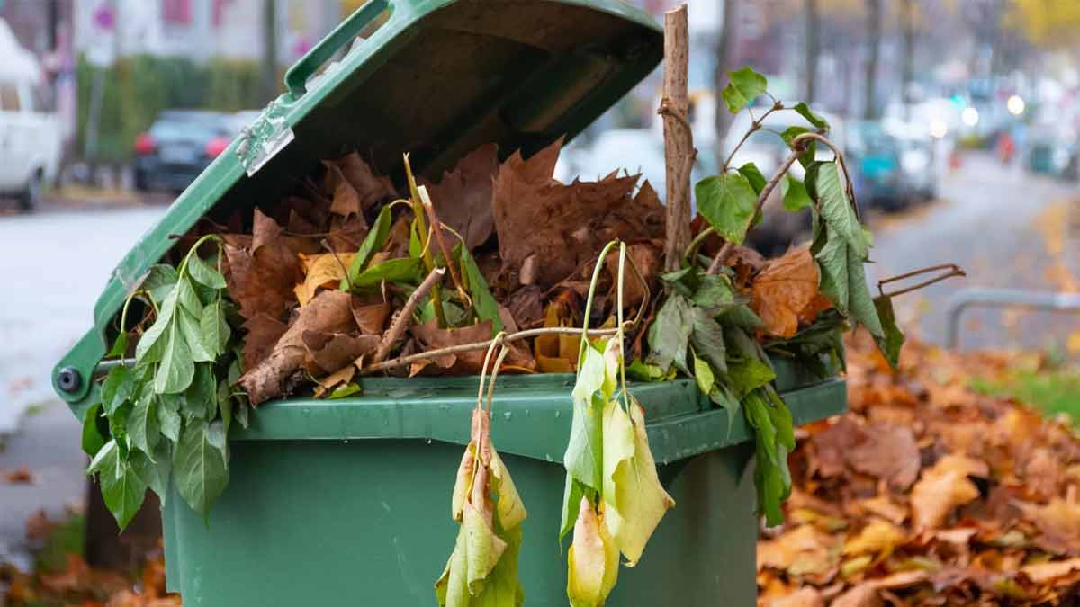 Laub im Garten bloß nicht im Hausmüll entsorgen